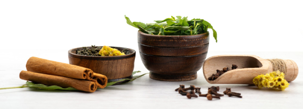 Ayurvedaa